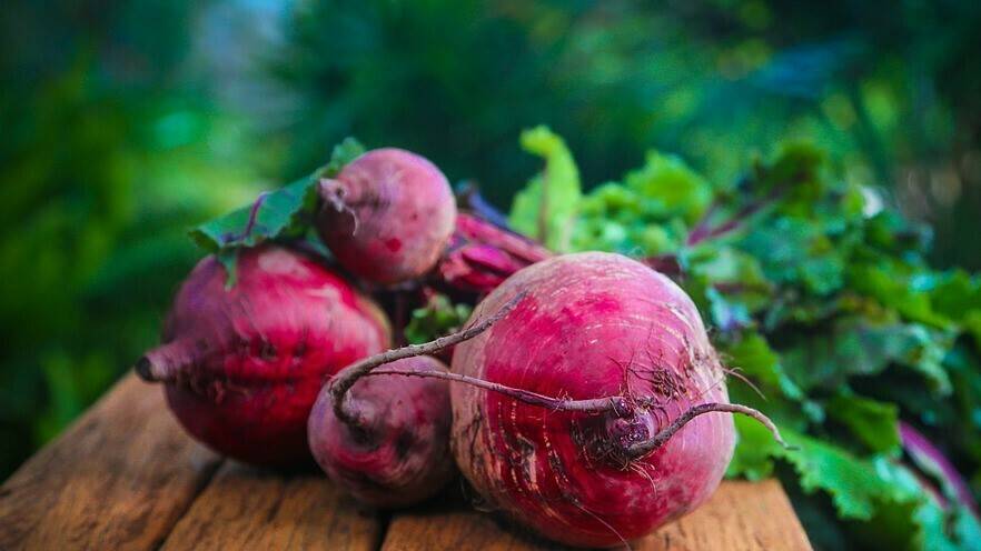 beetroot-687251_960_720|beetroot-3463259_960_720